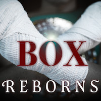 REBORNS 『BOX』